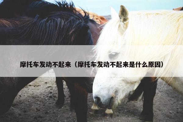 摩托车发动不起来（摩托车发动不起来是什么原因）