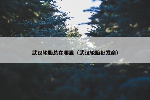 武汉轮胎总在哪里（武汉轮胎批发商）