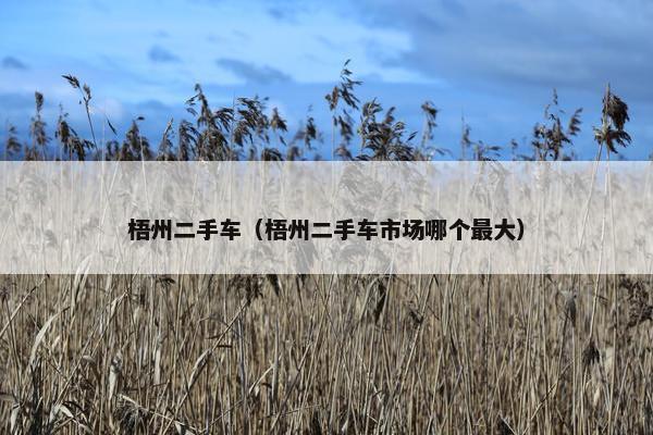梧州二手车（梧州二手车市场哪个最大）