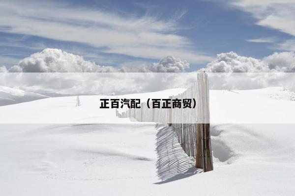 正百汽配（百正商贸）