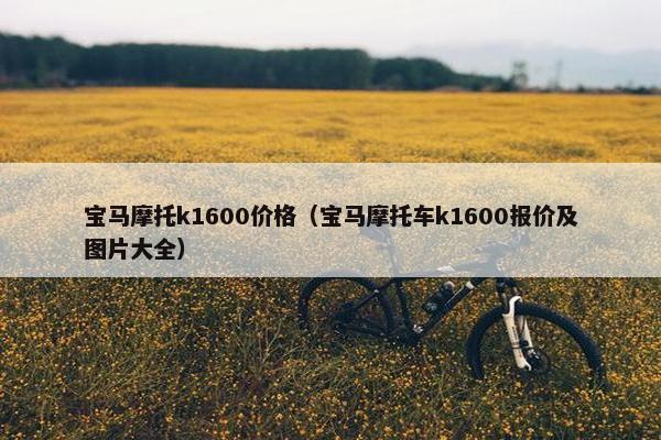 宝马摩托k1600价格（宝马摩托车k1600报价及图片大全）
