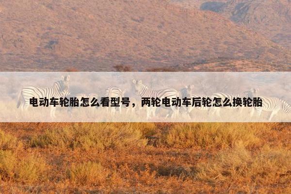 电动车轮胎怎么看型号，两轮电动车后轮怎么换轮胎