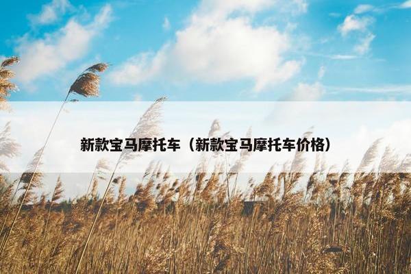 新款宝马摩托车（新款宝马摩托车价格）