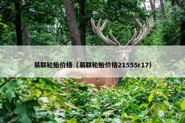 易联轮胎价格（易联轮胎价格21555r17）