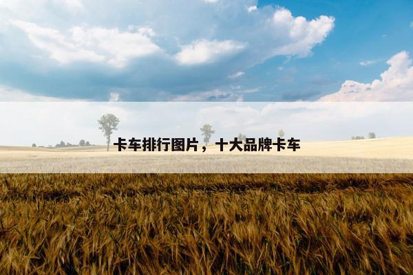 卡车排行图片，十大品牌卡车