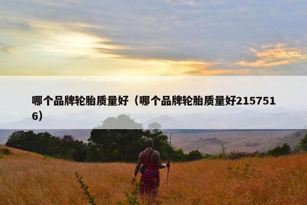 哪个品牌轮胎质量好（哪个品牌轮胎质量好2157516）