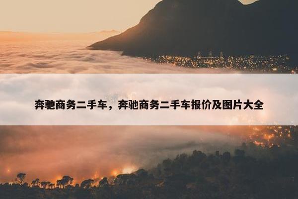 奔驰商务二手车，奔驰商务二手车报价及图片大全