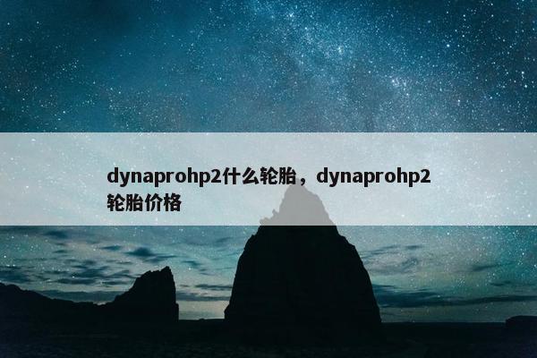 dynaprohp2什么轮胎，dynaprohp2轮胎价格