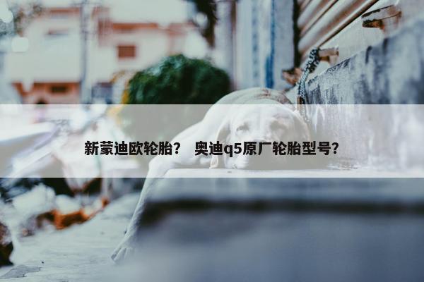 新蒙迪欧轮胎？ 奥迪q5原厂轮胎型号？