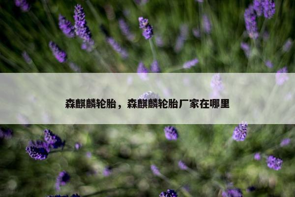 森麒麟轮胎，森麒麟轮胎厂家在哪里