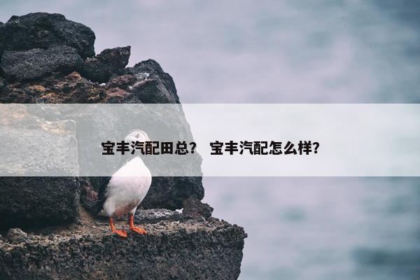 宝丰汽配田总？ 宝丰汽配怎么样？