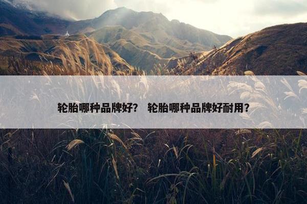 轮胎哪种品牌好？ 轮胎哪种品牌好耐用？
