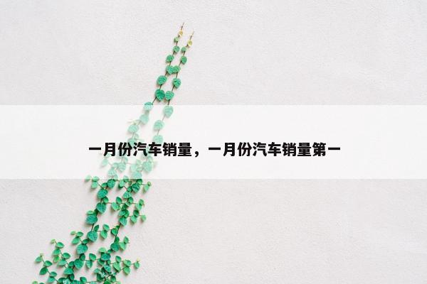 一月份汽车销量，一月份汽车销量第一