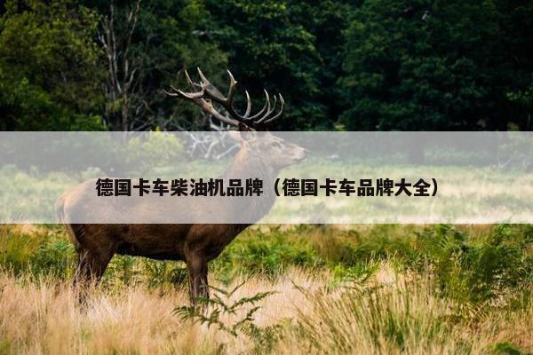 德国卡车柴油机品牌（德国卡车品牌大全）