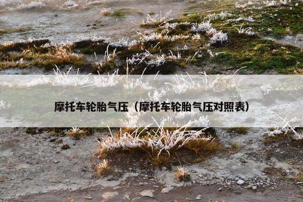 摩托车轮胎气压（摩托车轮胎气压对照表）