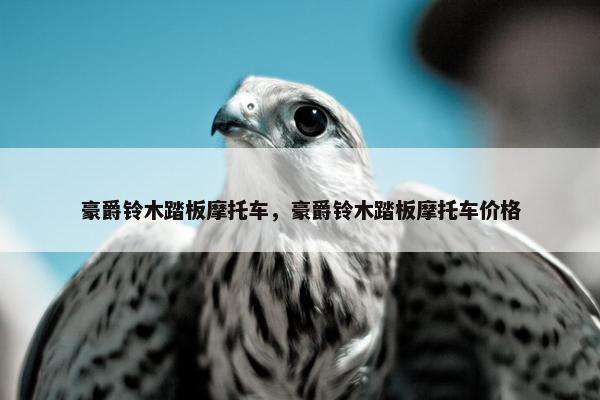 豪爵铃木踏板摩托车，豪爵铃木踏板摩托车价格