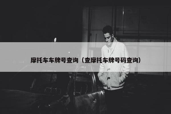 摩托车车牌号查询（查摩托车牌号码查询）