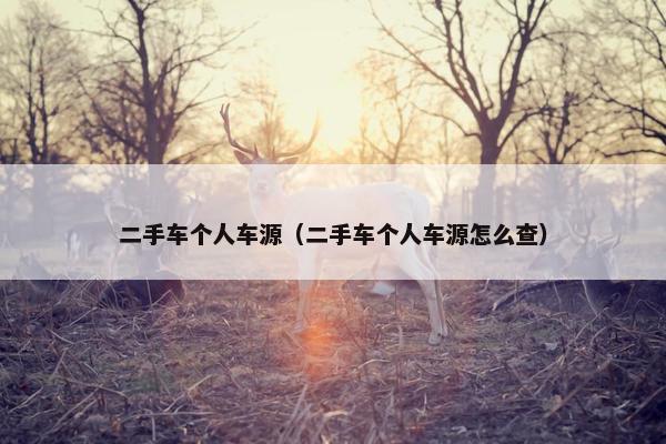 二手车个人车源（二手车个人车源怎么查）