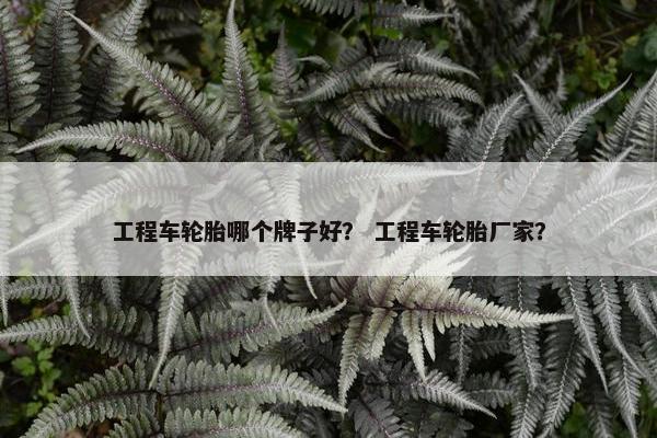 工程车轮胎哪个牌子好？ 工程车轮胎厂家？