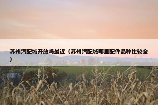 苏州汽配城开放吗最近（苏州汽配城哪里配件品种比较全）