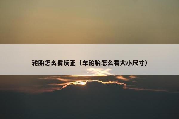 轮胎怎么看反正（车轮胎怎么看大小尺寸）