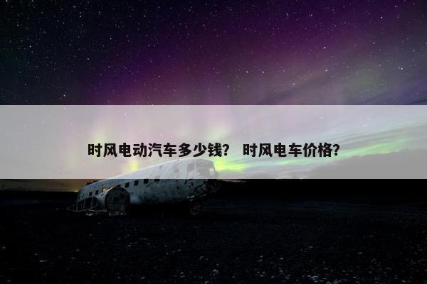时风电动汽车多少钱？ 时风电车价格？