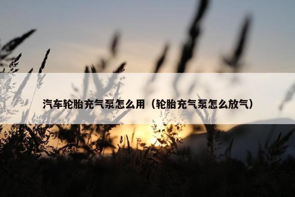 汽车轮胎充气泵怎么用（轮胎充气泵怎么放气）