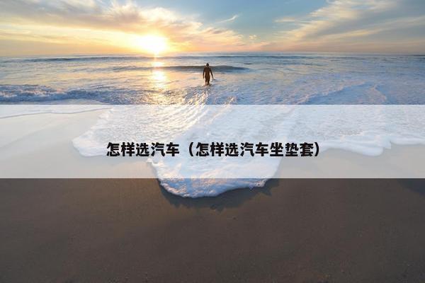 怎样选汽车（怎样选汽车坐垫套）