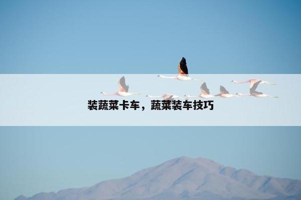 装蔬菜卡车，蔬菜装车技巧