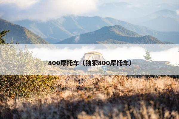 800摩托车（独狼800摩托车）