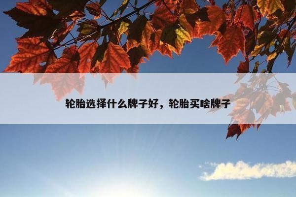 轮胎选择什么牌子好，轮胎买啥牌子