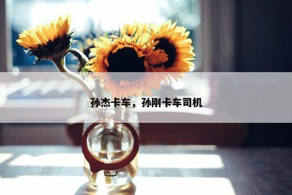 孙杰卡车，孙刚卡车司机