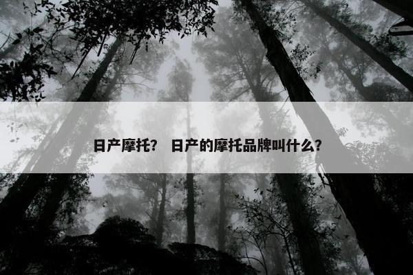 日产摩托？ 日产的摩托品牌叫什么？