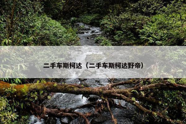 二手车斯柯达（二手车斯柯达野帝）