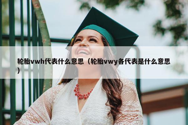 轮胎vwh代表什么意思（轮胎vwy各代表是什么意思）