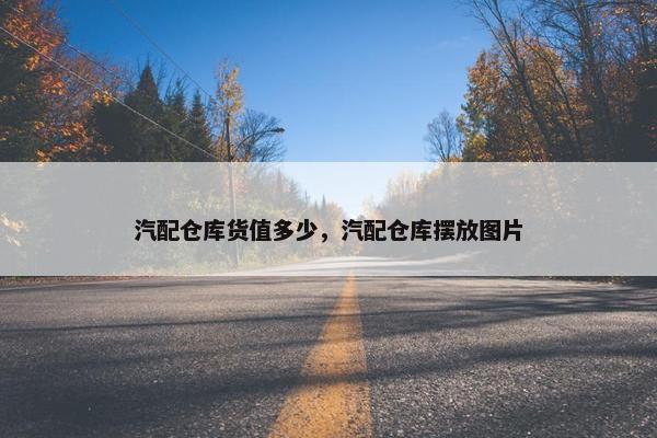 汽配仓库货值多少，汽配仓库摆放图片