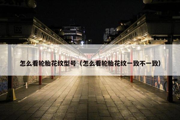 怎么看轮胎花纹型号（怎么看轮胎花纹一致不一致）