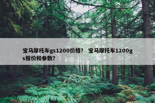 宝马摩托车gs1200价格？ 宝马摩托车1200gs报价和参数？