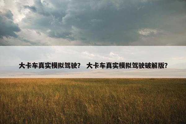 大卡车真实模拟驾驶？ 大卡车真实模拟驾驶破解版？