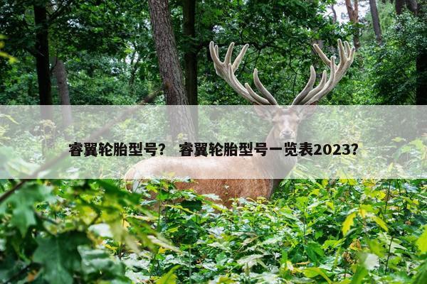 睿翼轮胎型号？ 睿翼轮胎型号一览表2023？