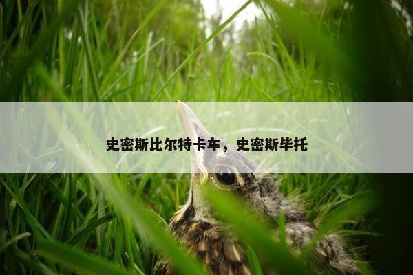 史密斯比尔特卡车，史密斯毕托