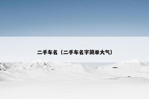 二手车名（二手车名字简单大气）