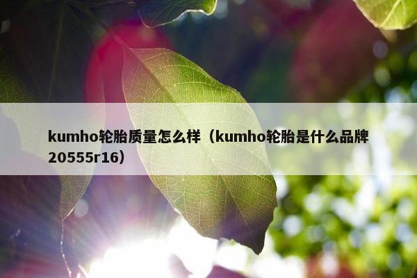 kumho轮胎质量怎么样（kumho轮胎是什么品牌20555r16）