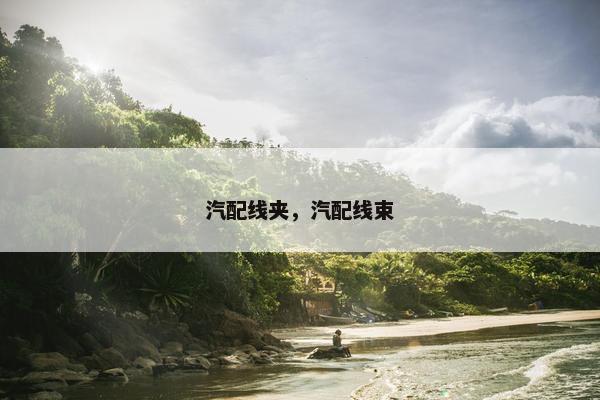 汽配线夹，汽配线束