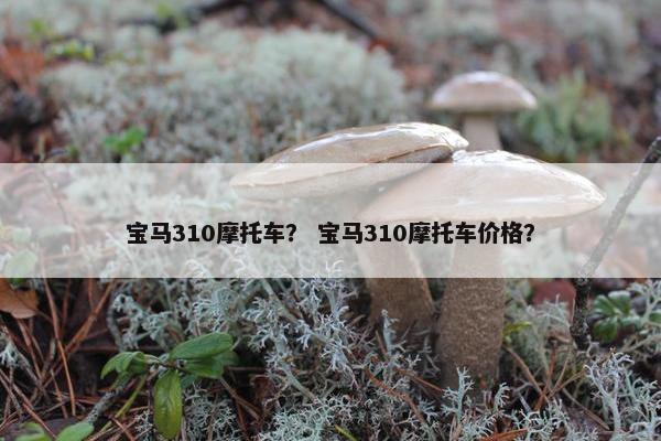 宝马310摩托车？ 宝马310摩托车价格？