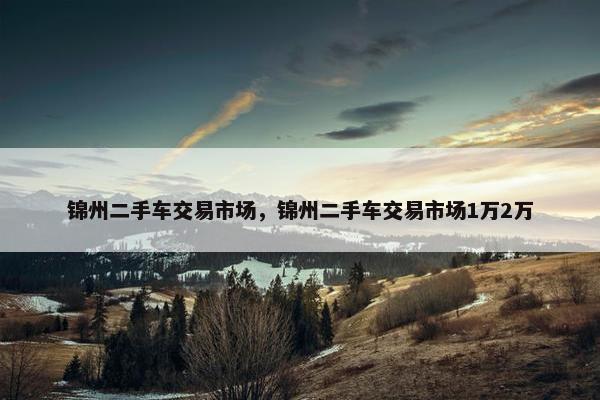 锦州二手车交易市场，锦州二手车交易市场1万2万