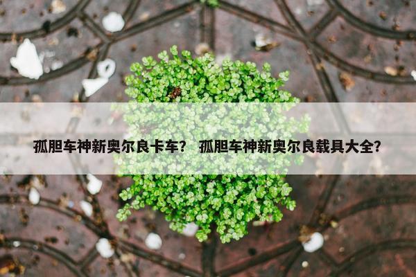 孤胆车神新奥尔良卡车？ 孤胆车神新奥尔良载具大全？