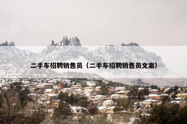 二手车招聘销售员（二手车招聘销售员文案）