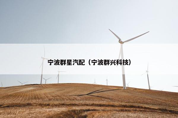 宁波群星汽配（宁波群兴科技）