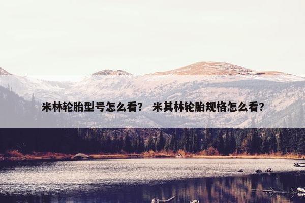 米林轮胎型号怎么看？ 米其林轮胎规格怎么看？